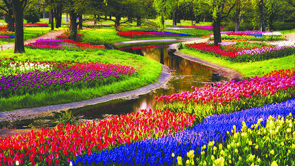 Keukenhof, Kunst & Kultur
